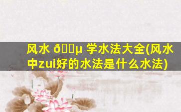 风水 🐵 学水法大全(风水中zui
好的水法是什么水法)
